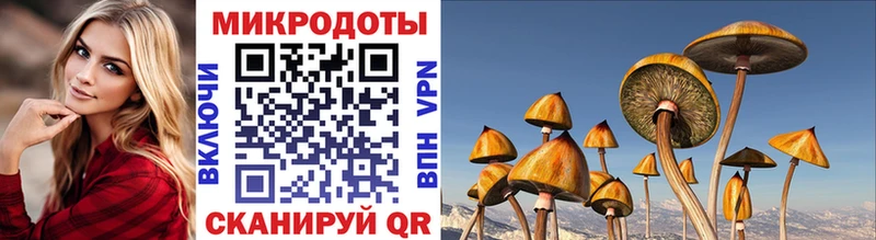 блэк спрут зеркало Бикин Галлюциногенные грибы прущие грибы